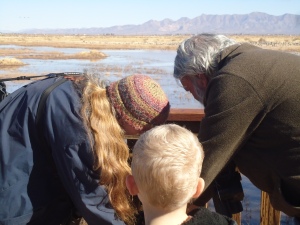 Each day, dozens of people come to visit the cranes, ducks, geese, falcons, hawks, and doves that frequent the Whitewater Draw Wildlife Area.  Here, Sheri and Tom adjust their scope for this young birdwatcher. 